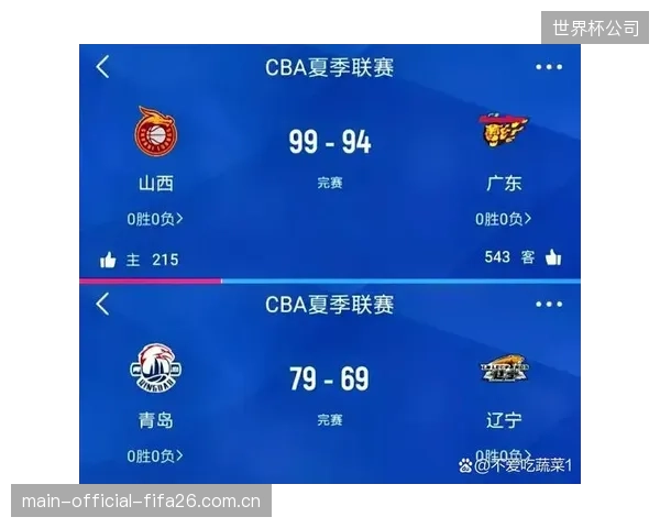 捷克队主力与替补实力差距明显，核心球员的健康状况是球队最大变数。